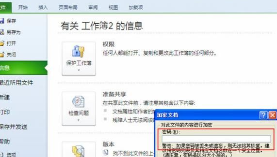 excel2010中为文档加密的具体操作步骤。