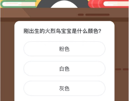 刚出生的火烈鸟宝宝是什么颜色。