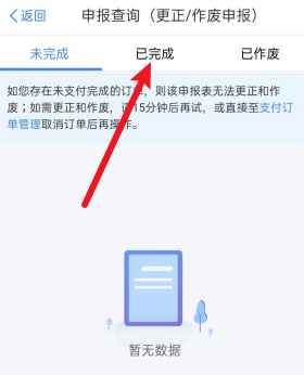个人所得税怎么看申报记录。