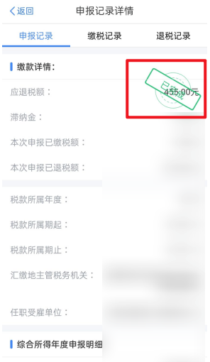 个人所得税怎么看申报记录。