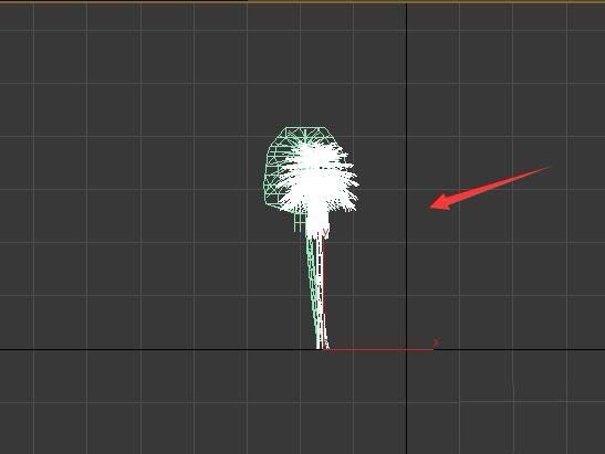 关于3Ds MAX给植物打灯光的使用方法