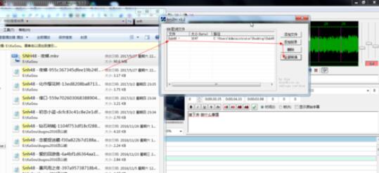 关于Aegisub设计卡拉OK字幕的操作步骤 关于无痕迹把大树弄死
