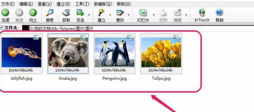 关于ACDSee翻转单张图像的操作教程 关于怎么查一个人开的房记录