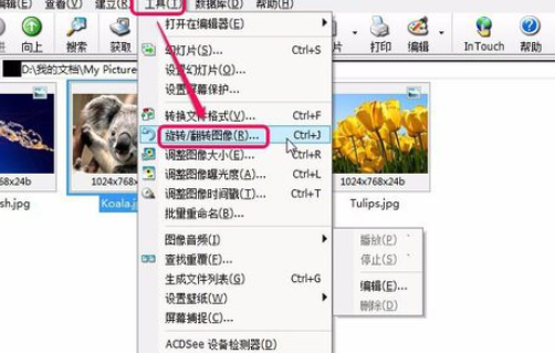 关于ACDSee翻转单张图像的操作教程 关于怎么查一个人开的房记录