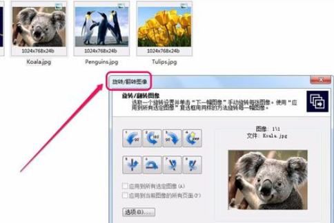 关于ACDSee翻转单张图像的操作教程 关于怎么查一个人开的房记录