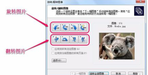 关于ACDSee翻转单张图像的操作教程 关于怎么查一个人开的房记录