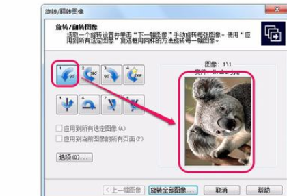 关于ACDSee翻转单张图像的操作教程 关于怎么查一个人开的房记录
