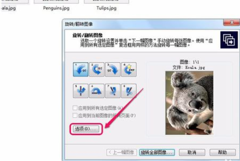 关于ACDSee翻转单张图像的操作教程 关于怎么查一个人开的房记录