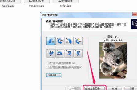 关于ACDSee翻转单张图像的操作教程 关于怎么查一个人开的房记录