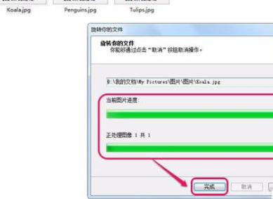 关于ACDSee翻转单张图像的操作教程 关于怎么查一个人开的房记录