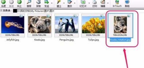 关于ACDSee翻转单张图像的操作教程 关于怎么查一个人开的房记录