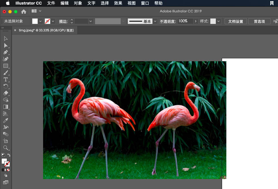 关于ai绘制火烈鸟的操作方法
