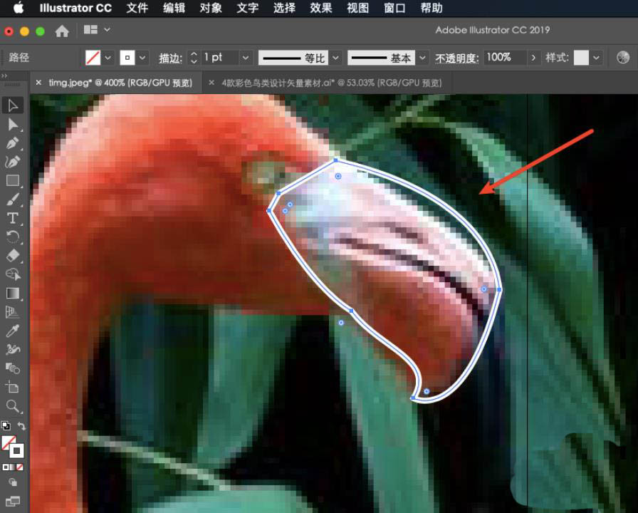 关于ai绘制火烈鸟的操作方法