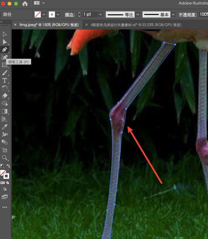 关于ai绘制火烈鸟的操作方法