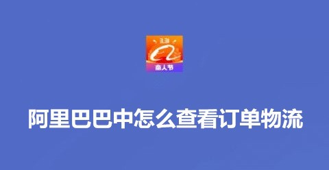 关于阿里巴巴订单物流在哪看。