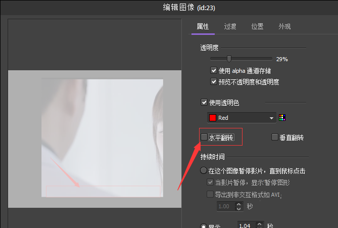 关于BB FlashBack将视频画面进行水平翻转的操作教程
