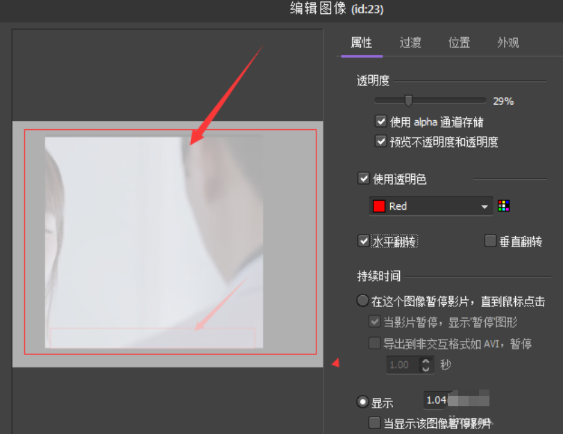 关于BB FlashBack将视频画面进行水平翻转的操作教程