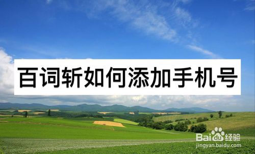 关于百词斩怎么添加手机号。