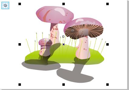 关于CorelDraw X4居中显示对象页面的操作教程 关于怎么说话