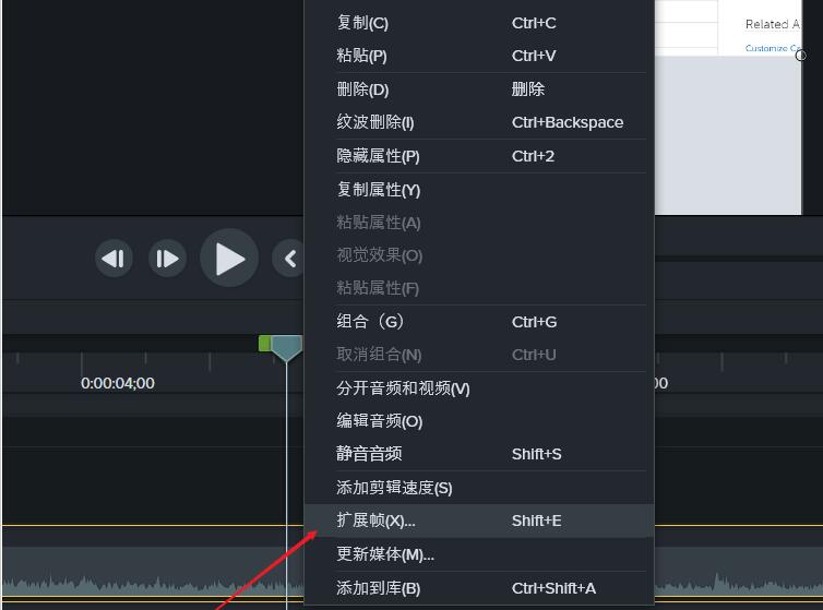 关于Camtasia