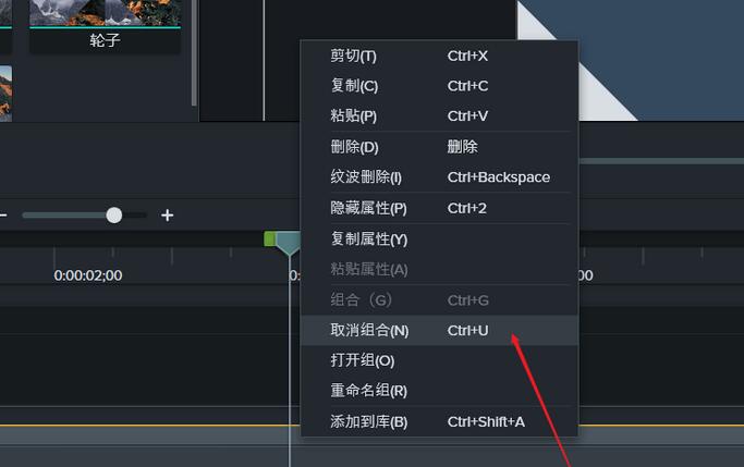 关于Camtasia
