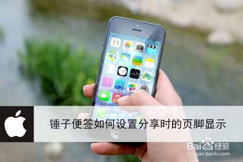 关于锤子便签怎么设置我来说说时显示页脚。