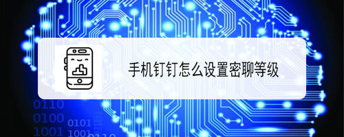 关于钉钉密聊私密等级怎么设置。