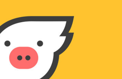 1577244314891235.png 关于飞猪和12306哪个抢票几率高。