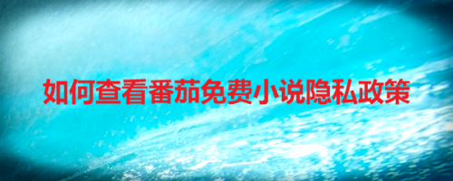 关于番茄免费小说隐私政策去哪看。