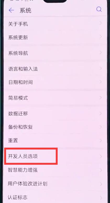 关于华为p20中打开开发人员选项的操作步骤。