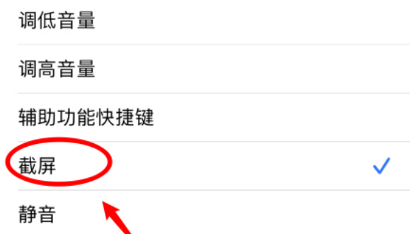 关于ios14如何双击背面截屏。