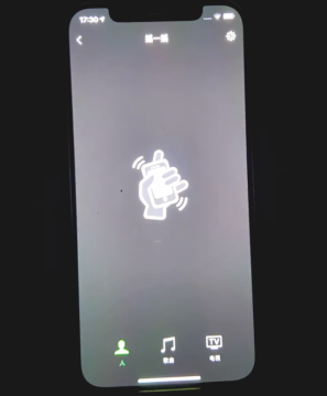 关于iphone12绿屏怎么测 iphone12绿屏检测方法。