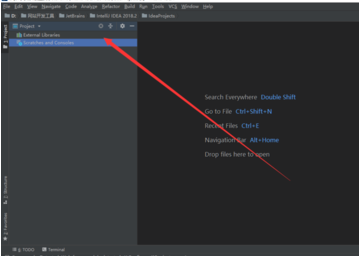 关于intellij idea里已存在项目的操作教程 关于去阴间的方法