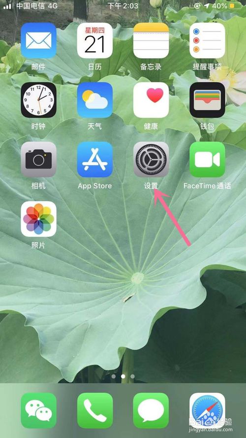 关于iPhone怎么打开个人热点。