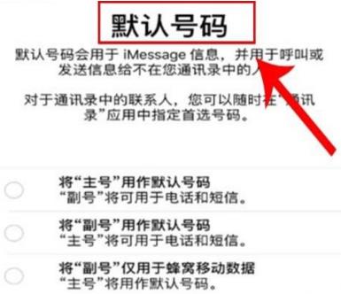 关于iphone11pro max双卡双待如何使用。