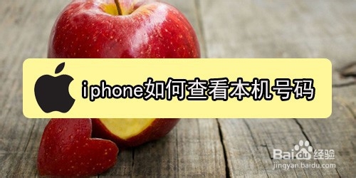 关于iphone怎么看自己的手机号。
