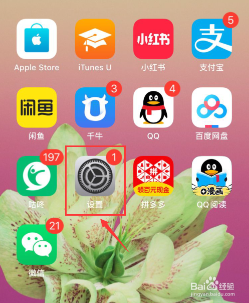 关于iphone怎么看自己的手机号。