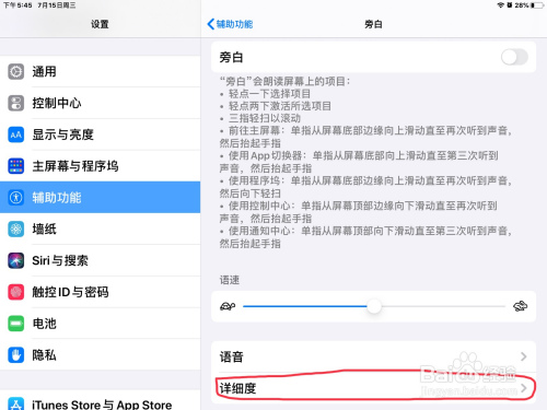 关于iPad设置旁白朗读大写字母方法介绍。