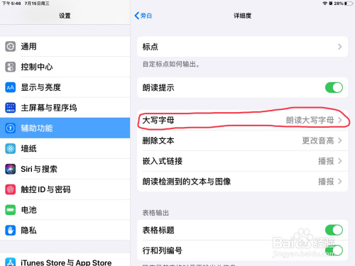 关于iPad设置旁白朗读大写字母方法介绍。