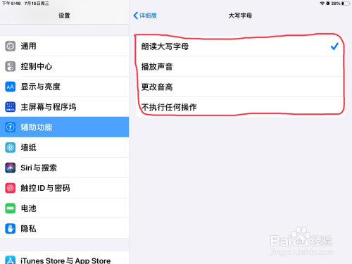 关于iPad设置旁白朗读大写字母方法介绍。