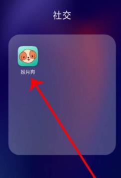 关于捞月狗的简单使用方法。
