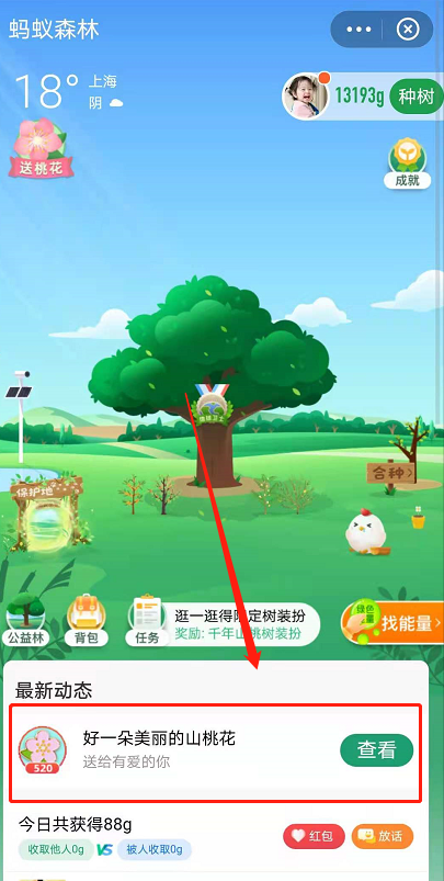关于蚂蚁森林树洞在哪。