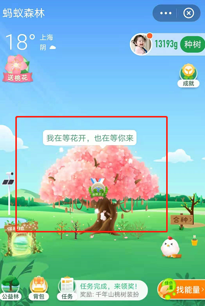 关于蚂蚁森林树洞在哪。