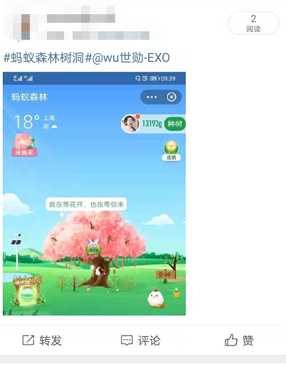 关于蚂蚁森林树洞在哪。