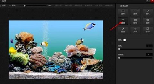 光影魔术手画笔制作曲线的基础操作。