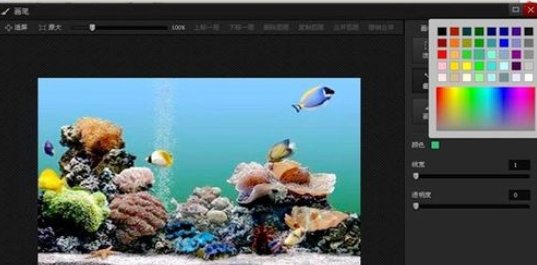 光影魔术手画笔制作曲线的基础操作。