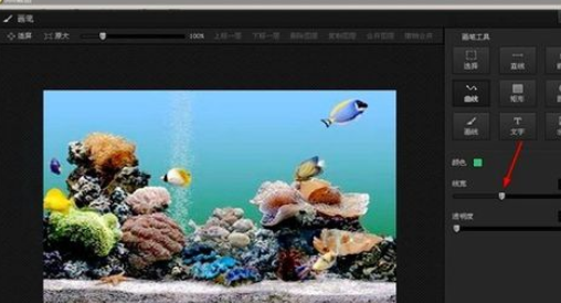 光影魔术手画笔制作曲线的基础操作。