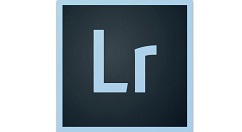 关于lightroom把照片添加到收藏夹的详细教程 关于怎么和狗做