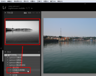 关于Lightroom使用预设的操作方法 关于几招自测幽门螺杆菌