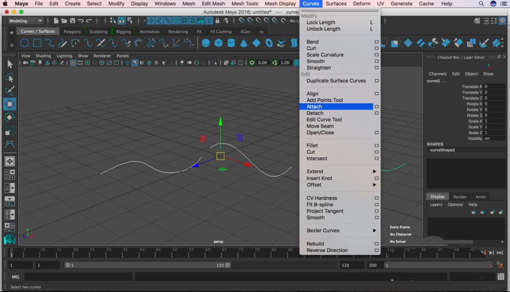 关于maya多条曲线合为一条曲线的操作方法